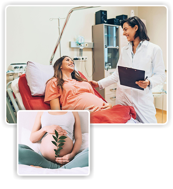 best  gyneacologist in thane
